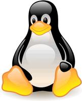 Alte-und-schwerwiegende-L-cke-bedroht-Linux-Distributionen
