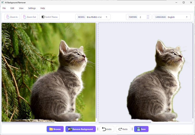 BG Remover