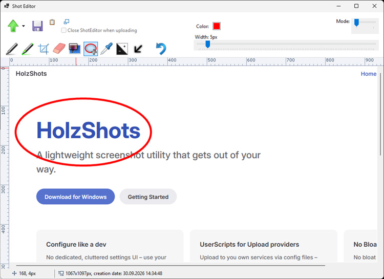 Holzshots