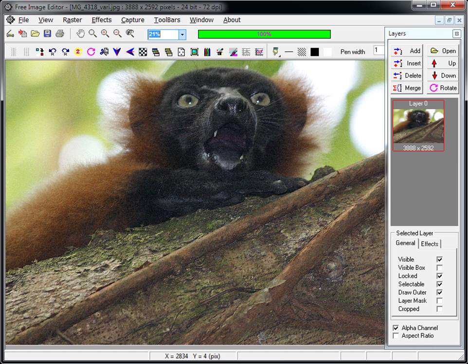 Free Image Editor