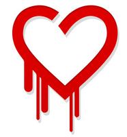 IT-Grössen beteiligen sich an Initiative die zweites Heartbleed verhindern soll