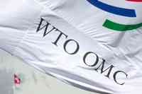 WTO, KMUs und IT-Beschaffung
