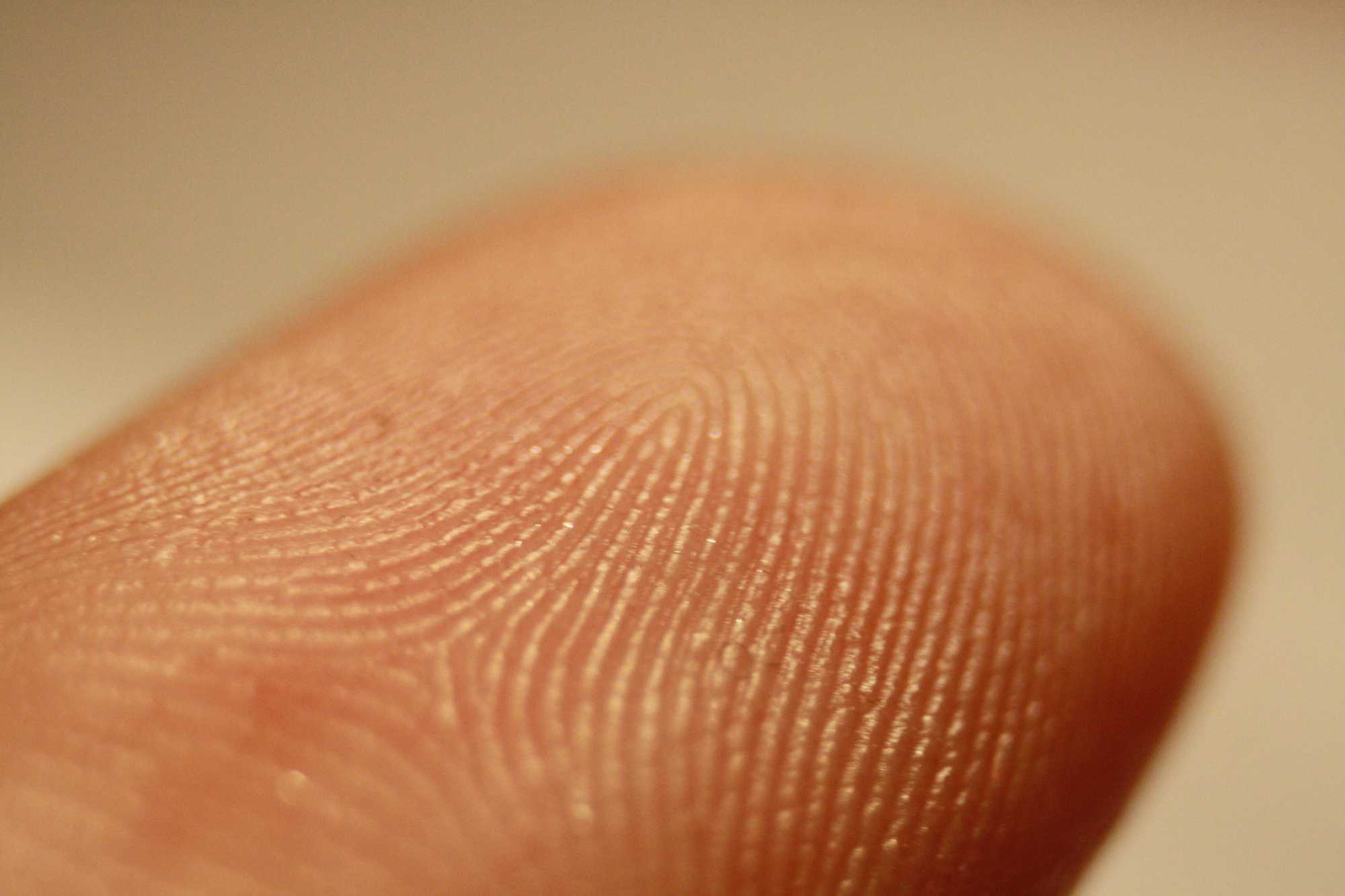 Forscher entsperren Smartphone über Fingerprint-Sensor