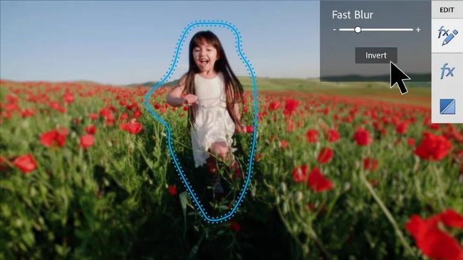 Adobe stellt Photoshop Elements 2021 und Premiere Elements 2021 vor