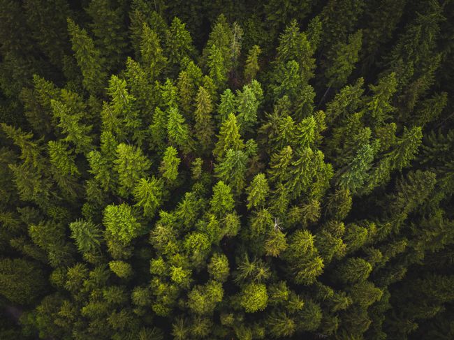 Clouddienste für den Klimaschutz einsetzen - ein Beispiel