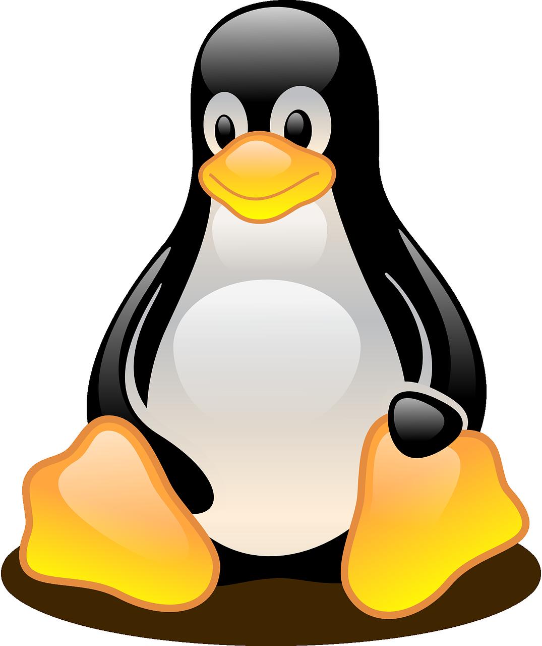 Linux User Group weitet Support-Angebot in Bern aus