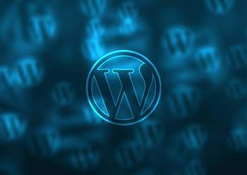 Wordpress zwingt zum Plug-in-Update