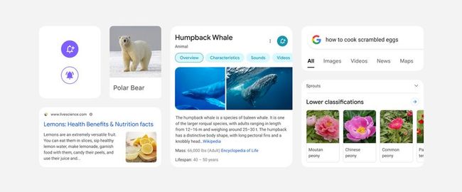 Google zeigt neues Design der Suche für Mobilgeräte