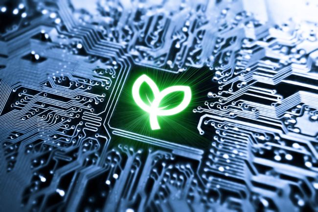 Nachhaltigkeit in der IT-Branche neu denken