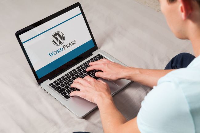 Drei Wordpress-Lücken geschlossen, dringendes Update empfohlen