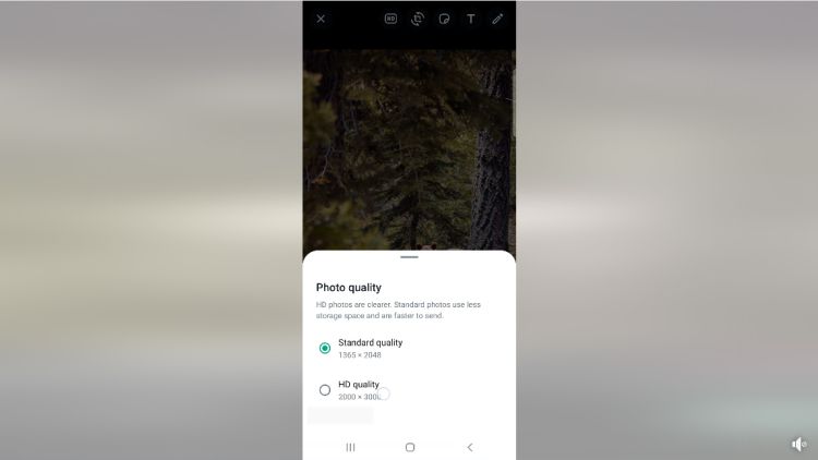 Whatsapp unterstützt neu HD-Fotos, HD-Videos folgen später