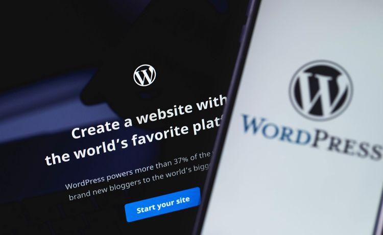 Wordpress bietet 100-Jahres-Paket für Website-Hosting