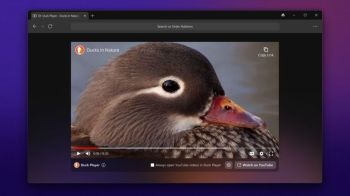 Duckduckgo-Browser als Beta neu auch für Windows verfügbar