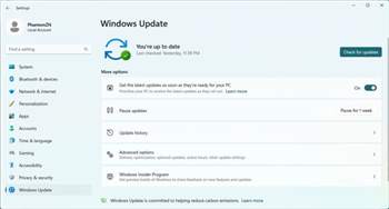 Bald Option für schnellere Windows 11 Updates