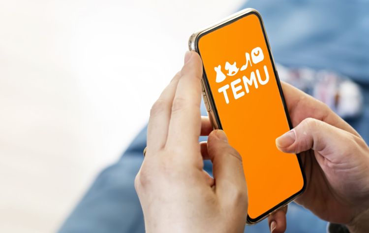 SECO bringt Temu zu Anpassungen auf Website