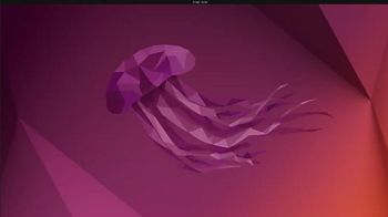 Sicherheitsleck sorgt für Verzögerungen bei Ubuntu-Beta