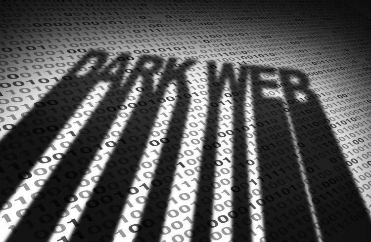 Google stellt kostenloses Dark Web Monitoring Tool ein