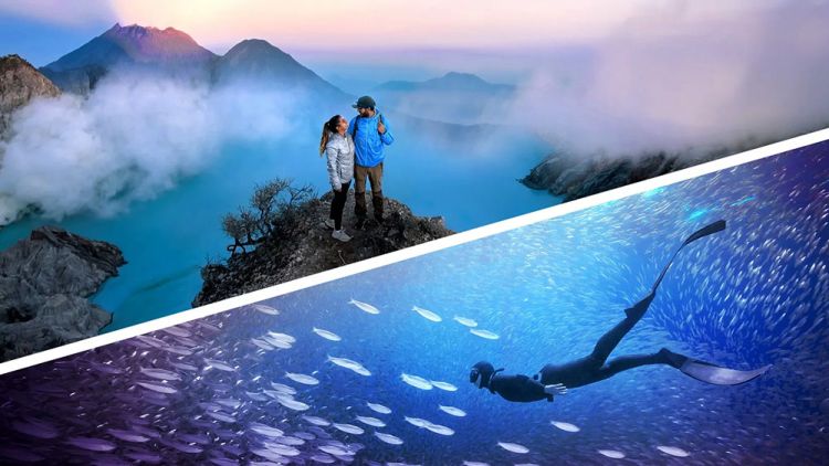Photoshop Elements und Premiere Elements 2026 sind da