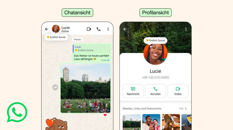 Whatsapp überarbeitet Info-Funktion