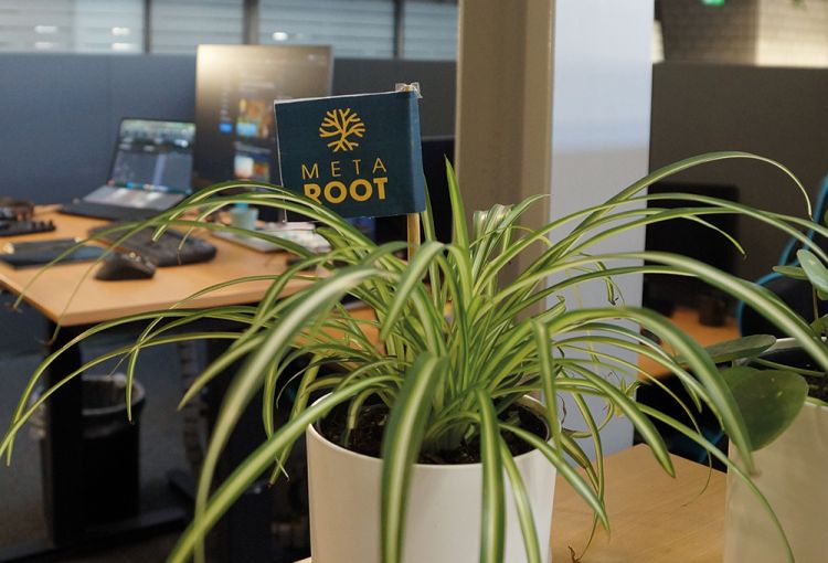 Meta Root (Publishing & Marketing)