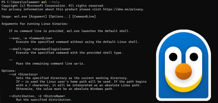 Build 2025: Windows Subsystem for Linux ist neu Open Source