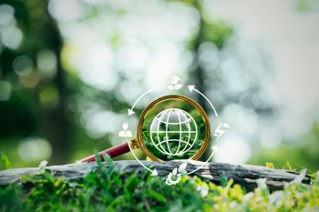 Circular IT: Effizienz trifft Nachhaltigkeit