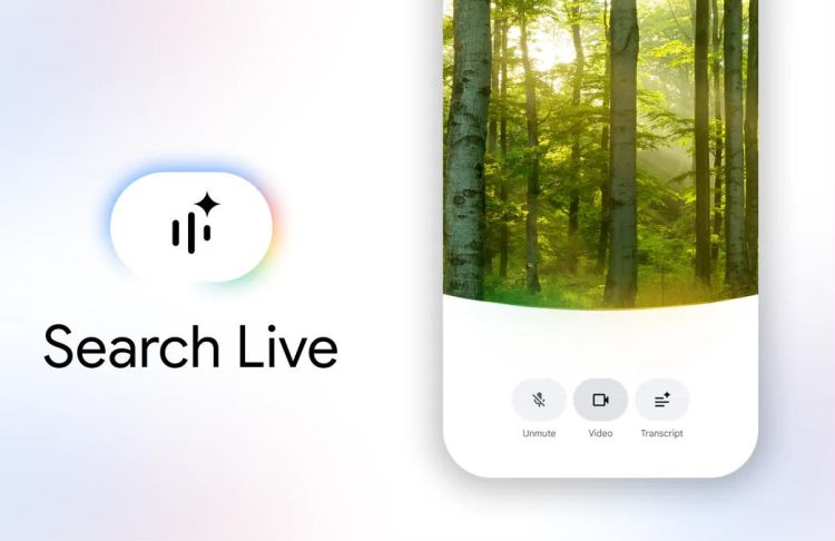 Google macht Search Live weltweit verfügbar