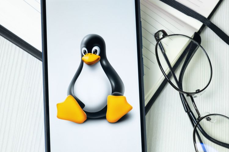 Linux-Community fasst Plan für Linux-Torvalds-Nachfolge