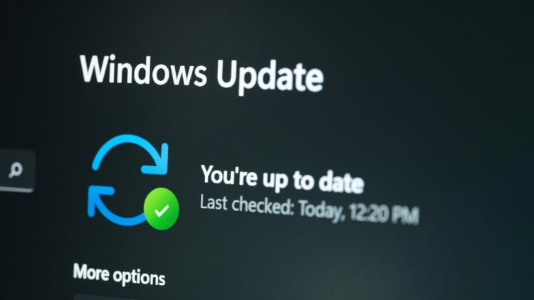 Windows-11-Updates tagesgenau terminieren