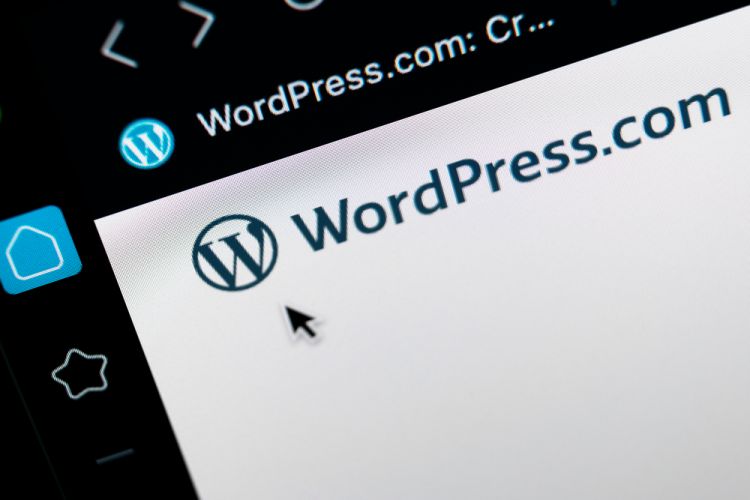 Hintertür in über 30 Wordpress-Plugins entdeckt