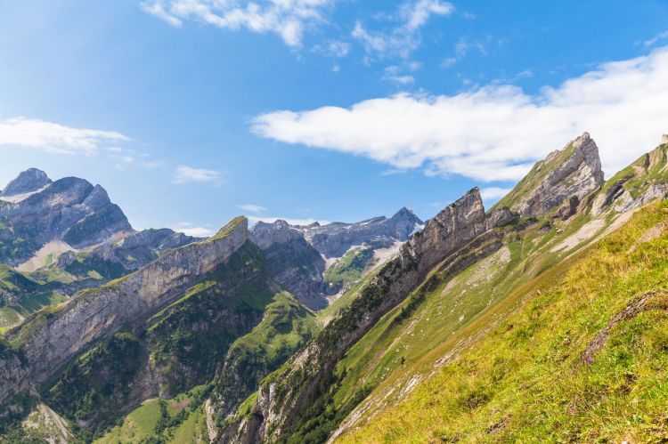 Ostschweizer Kantone schliessen sich für KI-Einführung zusammen
