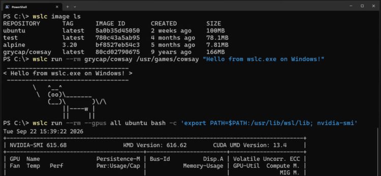 WSL Container allgemein verfügbar