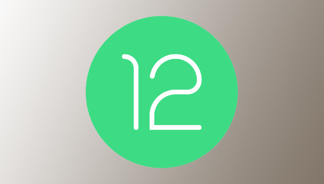 Developer-Preview von Android 12 verfügbar