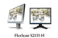 Eizo Flexscan-S: Monitore fürs Auge 