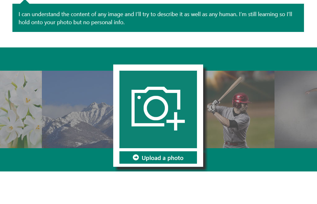 Microsoft lanciert AI-Bilderkennung Captionbot