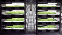 Digitalisiert sich die Schweizer Landwirtschaft?