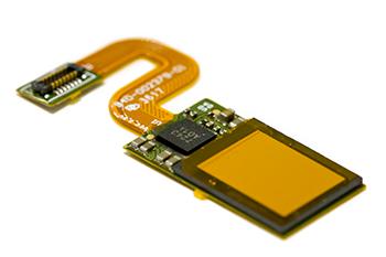 Synaptics' In-Display-Fingerabdrucksensor geht in Massenproduktion