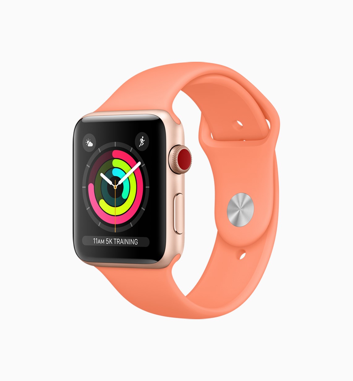 Apple registriert sechs neue Modelle der Apple Watch