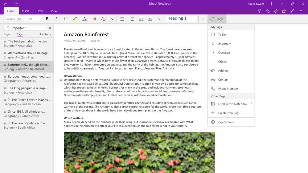 Microsoft stellt Entwicklung von OneNote 2016 ein und empfiehlt die UWP-Version