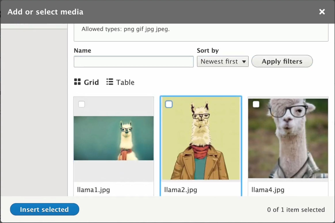 Drupal 8.8 mit neuer Media Library
