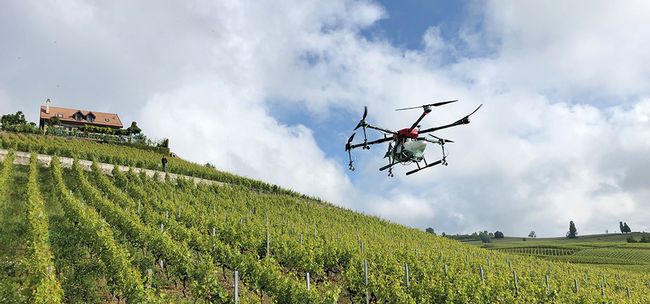 Swiss Made Software: Drohnen-Revolution für Weinberge