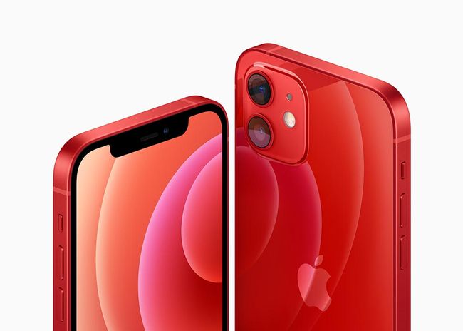 iPhone-12-Strahlung ruft weitere EU-Regierungen auf den Plan