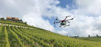 Swiss Made Software: Drohnen-Revolution für Weinberge