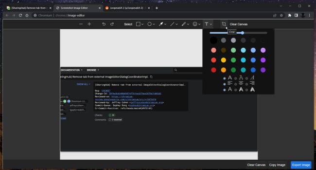 Chrome Canary mit erweitertem Screenshot-Editor 