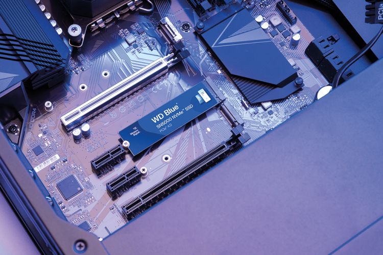 Western Digital WD Blue SN5000 NVMe SSD: SSD für Content-Kreatoren