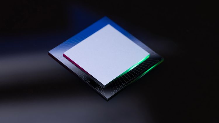 Amazon präsentiert neuen Quantencomputing-Chip Ocelot 