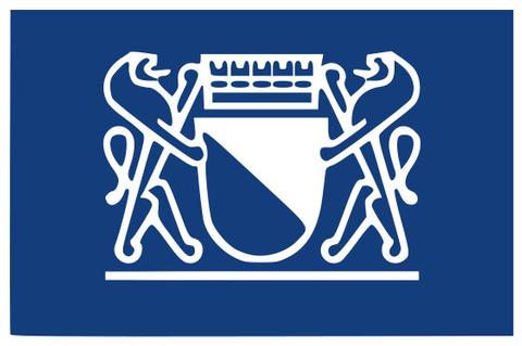 Die IT in Zürich: Erster Bericht