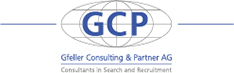 GfellerConsulting&amp;Partner